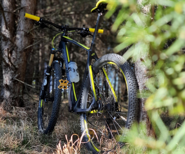 Bicicleta de montaña MTB 29"